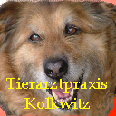 (c) Tierarztpraxis-kolkwitz.de